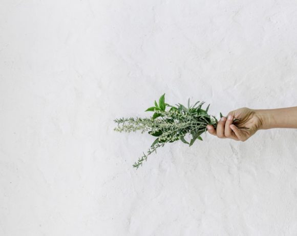 El Universo del Ayurveda El Universo del Ayurveda