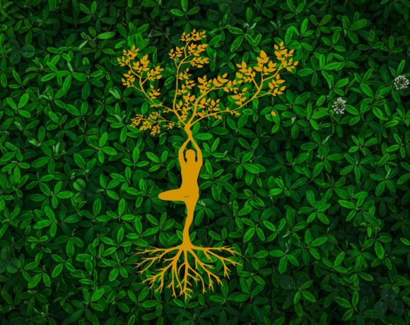 TALLER YOGA Y AYURVEDA TALLER YOGA Y AYURVEDA