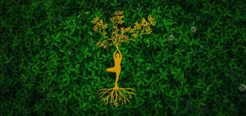 TALLER YOGA Y AYURVEDA