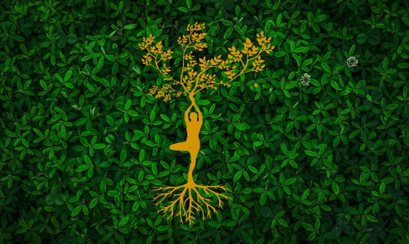 TALLER YOGA Y AYURVEDA TALLER YOGA Y AYURVEDA