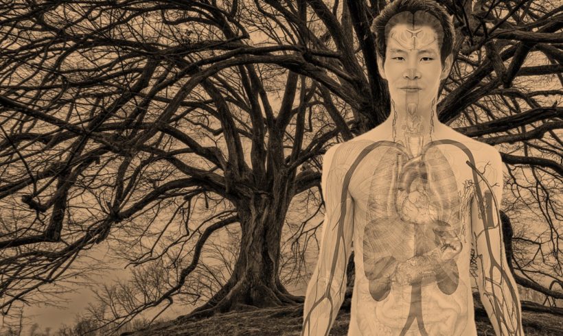 EL CUERPO A TRAVÉS DEL YOGA