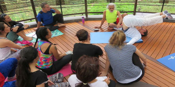 Yoga y Columna Vertebral: Una Lección de Atención Corporal