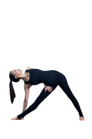 Vinyasa Yoga